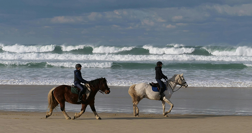 Balade équestre à Quend-Plage