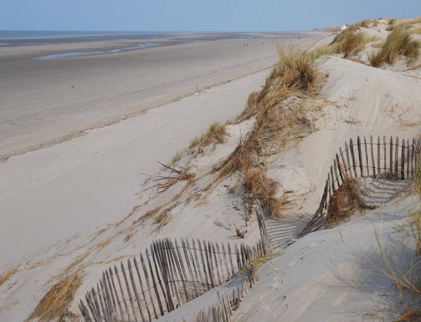 Les dunes de Quend-Plage